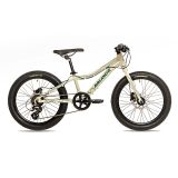 Avalanche Flash 20″ Disc mountain bike in silver — side view