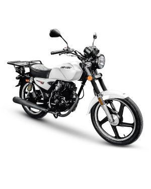 Big Boy Velocity 175 Cargo Deliver Bike