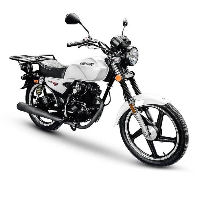 Big Boy Velocity 175 Cargo Deliver Bike