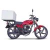 Big Boy Velocity 175 Cargo Deliver Bike