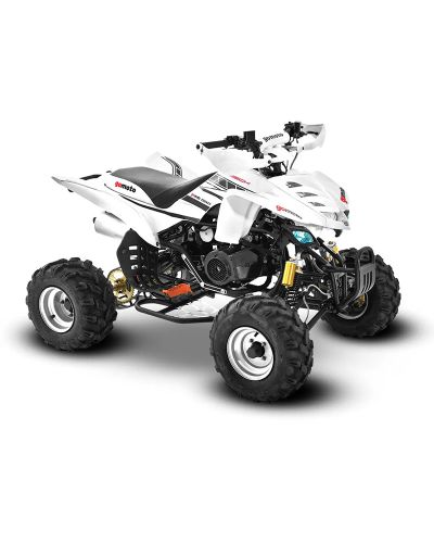 Big Boy Gomoto ATV 150 Quad Bike