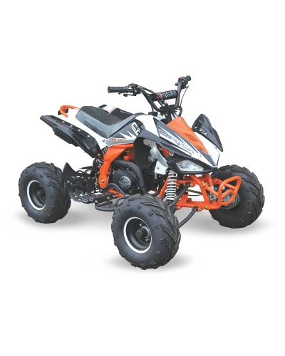 Big Boy Monster CRX 110 Quad Bike