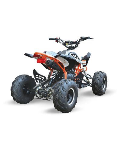 Big Boy Monster CRX 110 Quad Bike