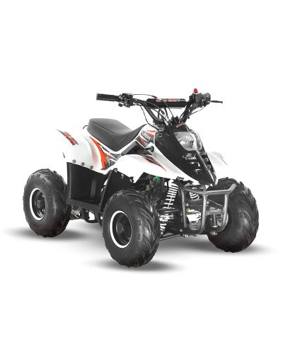 Big Boy Monster Puma 110 Quad Bike