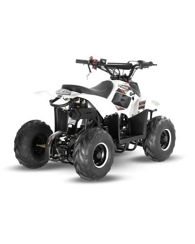 Big Boy Monster Puma 110 Quad Bike