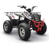 big_boy_monster_roamer_180F_quad_bike