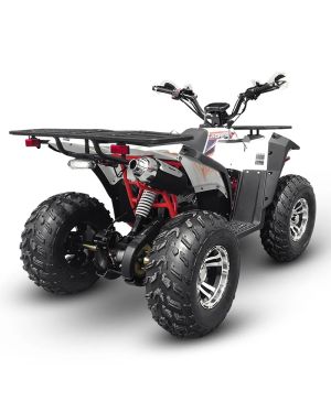 Big Boy Roamer 180F Quad Bike