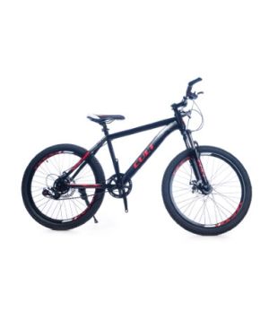 Cult 24 Inch MTB
