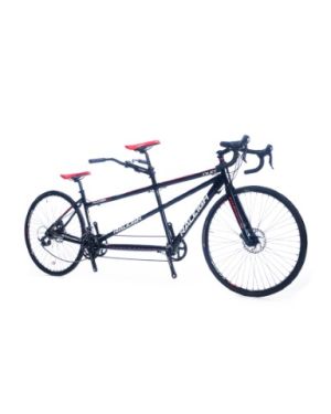 Raleigh Duo Tandem Road Bike