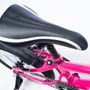 Alpha-Z 16 Inch Girls MTB