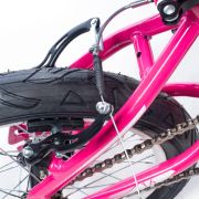 Alpha-Z 16 Inch Girls MTB