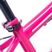 Alpha-Z 16 Inch Girls MTB