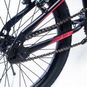 Alpha-Z 20 inch Girls BMX