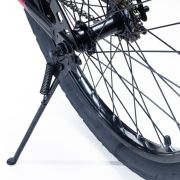 Alpha-Z 20 inch Girls BMX