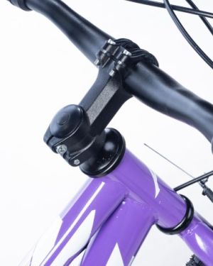 Alpha-Z 20 Inch Girls MTB