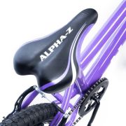 Alpha-Z 16 Inch Girls MTB