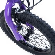 Alpha-Z 16 Inch Girls MTB