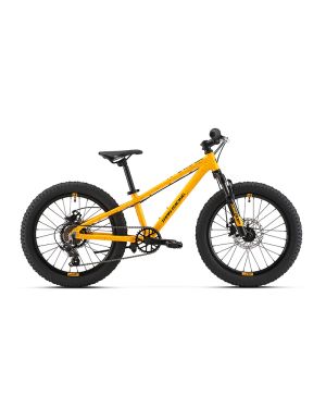 Titan Player Junior 20inch Mountain Bike Aluminium