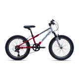 Avalanche Buzz 20 inch MTB Red & Silver