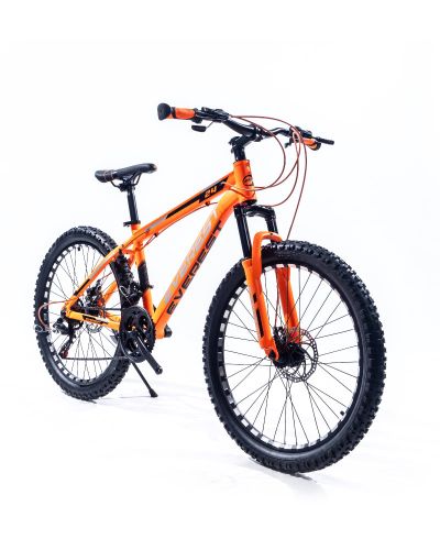 Everest 24 inch MTB Orange