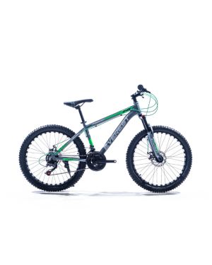 Everest 24 inch MTB Silver & Green