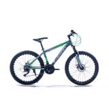 Everest 24 inch MTB Silver & Green