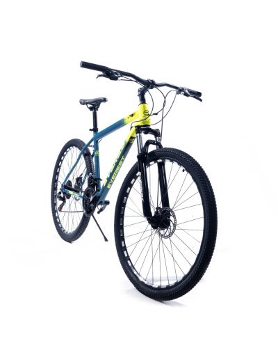 Everest AD Series 29 inch MTB Blue & Yellow