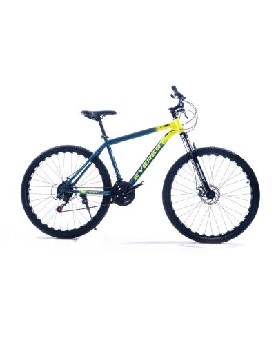 Everest AD Series 29 inch MTB Blue & Yellow