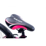Galaxy X-plore 20 inch Girls BMX 2