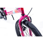 Galaxy X-plore 20 inch Girls BMX 5