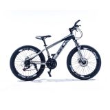 Gielang 24 inch MTB Silver & Black