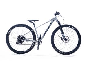 Signal S920 29 inch MTB Silver