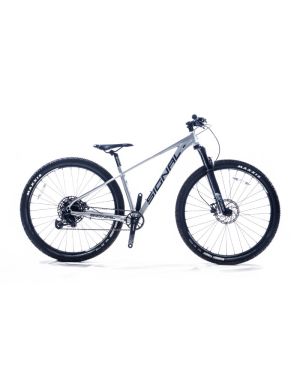 Signal S920 29 inch MTB Silver