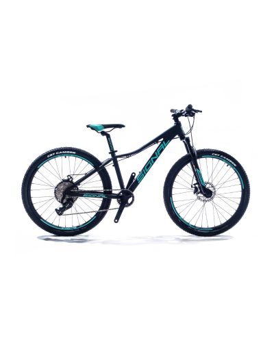 Signal Skye S610 26 inch Ladies MTB Black & Green