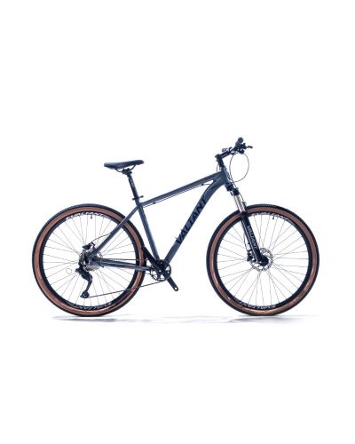 Valiant 29 inch MTB Dark Silver