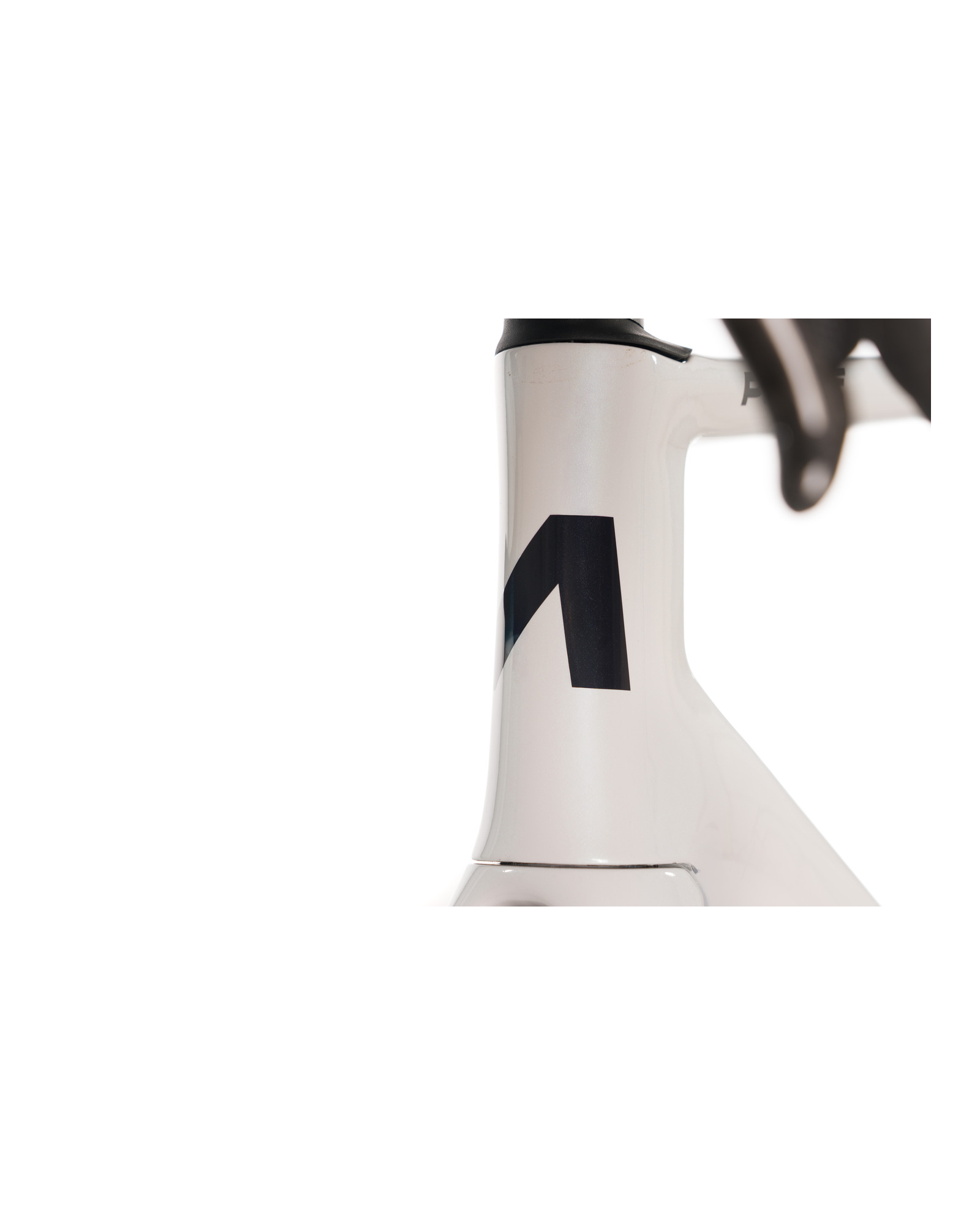 Avalanche Pulse pearl-white and black head tube